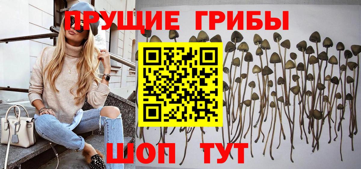 Галлюциногенные грибы MAGIC MUSHROOMS  Вход с VPN  Псилоцибиновые грибы мицелий  Кинель 